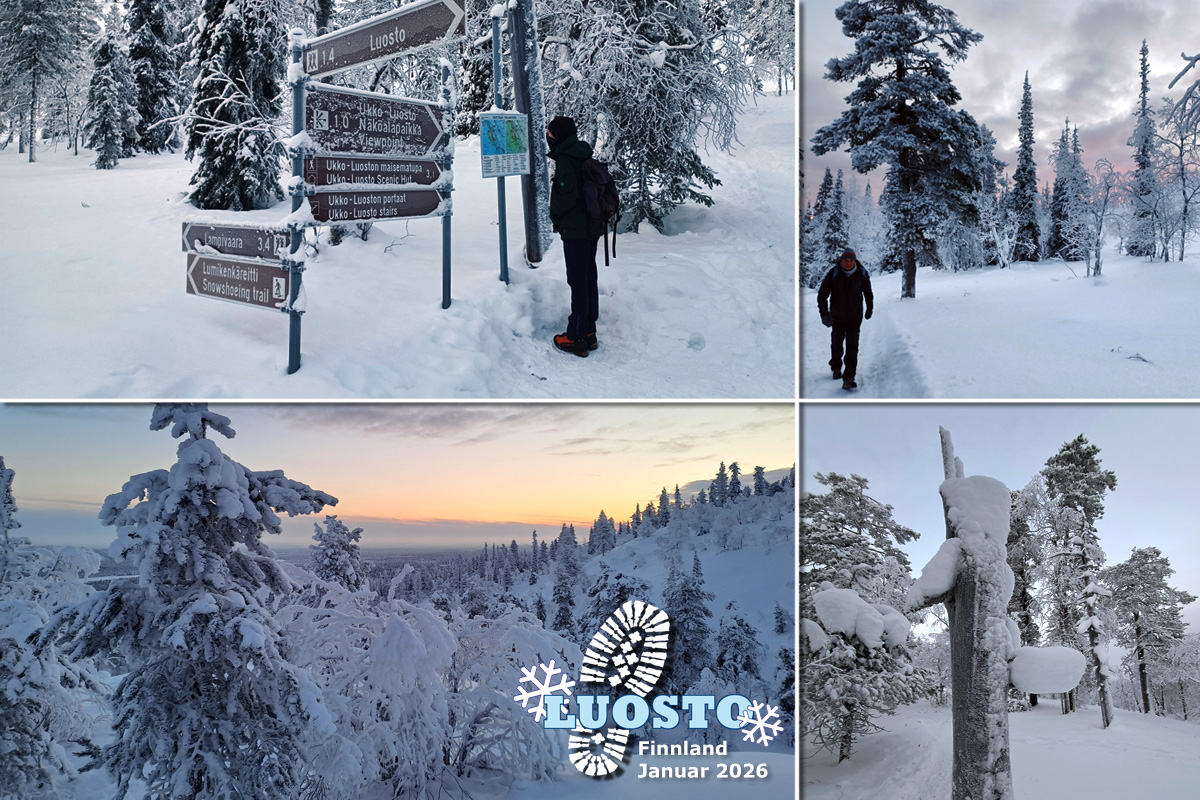 Luosto Winterwandern